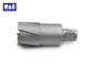 Tungsten Carbide Tip  Rail cutter and Annular Cutter with half flute with  (One touch / weldon /Univeral ) shank